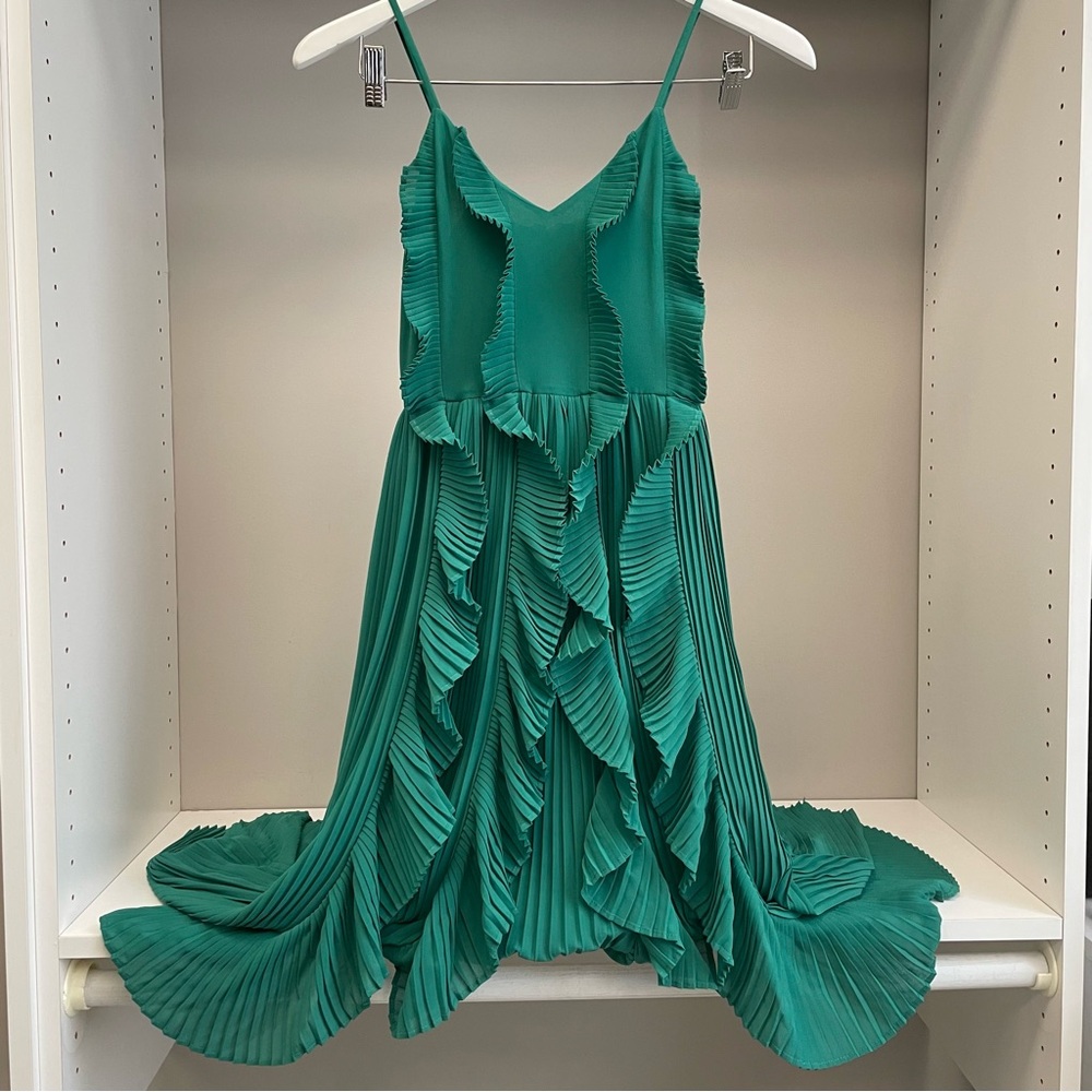 H&M pleated ruffle maxi dress
